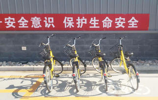 助力辦公路上“最后一公里” | Pando龐度·河北龍大引入免費“小黃車”，員工辦公更方便啦！